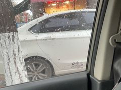 -洪湖里王姐大乌豆