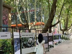 -西安电影制片厂