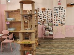 -喵匠猫主题咖啡(凯德和平广场店)