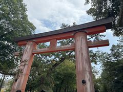 -奈良公园