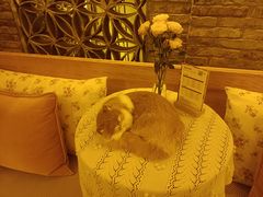 -叶叶菩提·晋福宫