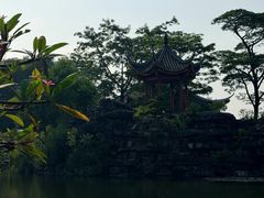 -顺峰山公园