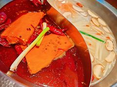 -小媳妇重庆火锅(海莲路店)