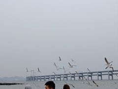 -黑石礁公园