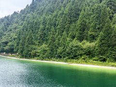 -武陵山森林公园