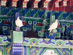 -西安大兴善寺