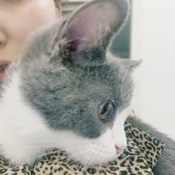 -Rena nail 美甲美睫私人定制