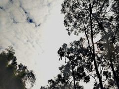-广州雕塑公园