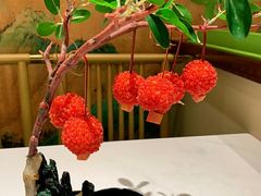 -奔跑吧陕菜·盛世长安(民乐园万达店)