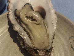 比我手掌还大的生蚝-千岛蚝高压锅生蚝·人参火锅(白云万达店)