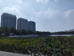 -南翔镇银翔湖公园