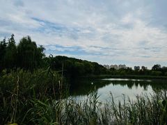 -昆山城市生态森林公园