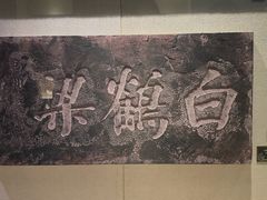 -白鹤梁水下博物馆