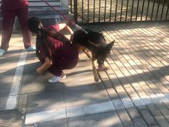 -美联众合动物医院·24h转诊中心
