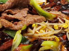 -新吉士·上海菜(浦东LCM置汇旭辉店)