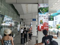 -国际邮轮中心码头(厦鼓码头)