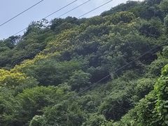 -西安祥峪森林公园