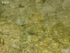 -碓臼峪自然风景区