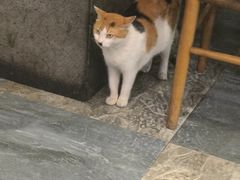 -晓马鸭店(新芜路店)