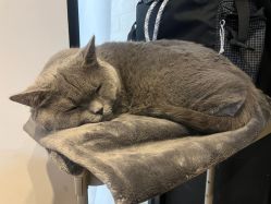 -飛凡TATTOO纹身•原创