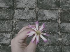 -南沙蒲洲花园