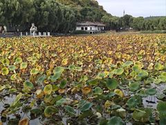 -北山公园