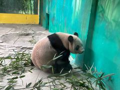 -杭州动物园