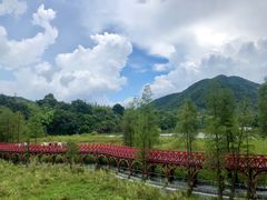 -东部华侨城