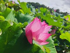 -象山森林公园