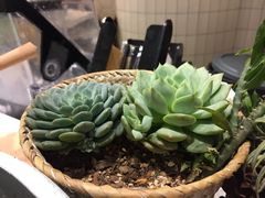 -（宝安壹方城店）