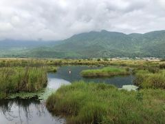 -腾冲北海湿地