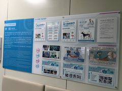 -北京观赏动物医院·24小时大型综合·猫专科·异宠专科