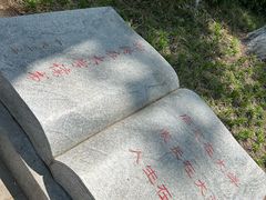 -青岛大学路小学