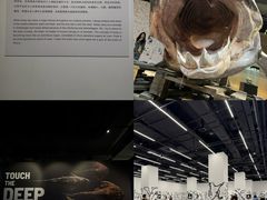 -凤凰中心