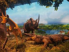 -国家自然博物馆