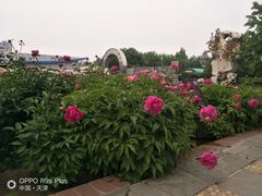 -卫鼎轩·家宴(水上公园店)