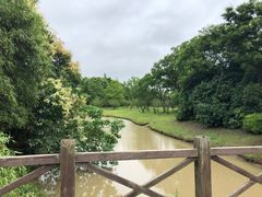 -上海海湾国家森林公园