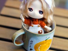 -椿风·养身茶饮(吉大店)