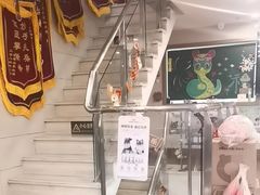 -爱侣·安琦尔宠物医院·中兽医针灸·心内科·狂犬免疫点(宝山区院)