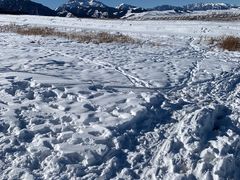 -丝绸之路山地度假区滑雪场