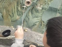 -栾川竹海野生动物园