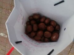 -黑孩油栗皇(南阳路店)