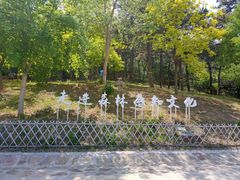 -北京西山国家森林公园