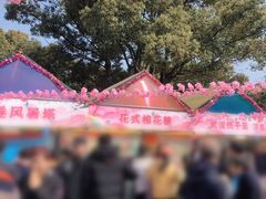 -高东镇樱花园