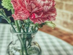 -翠贝卡&Mama Kelly Brunch Coffee(河西店)