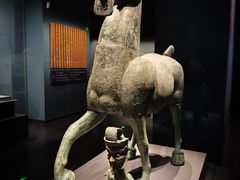 -广西壮族自治区博物馆