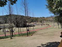 -牛岗山公园