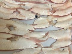 -章记正宗南岗鱼蛋火锅