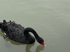 -祥源·阜阳生态乐园