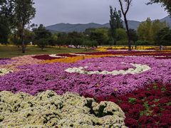 -国家植物园南园